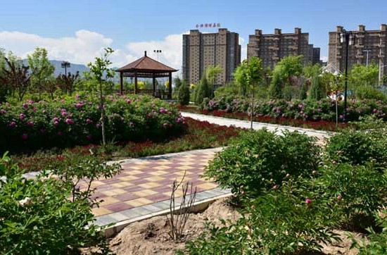 临夏现代职业学院有哪些专业及什么专业好_招生信息