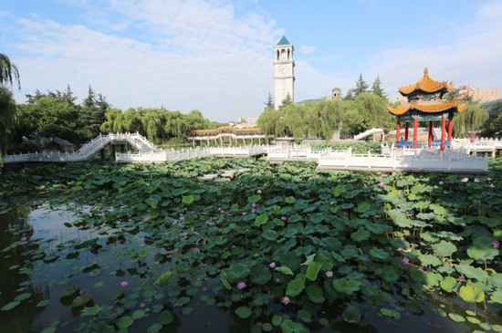 西安外事学院医学院有哪些专业及什么专业好_招生信息