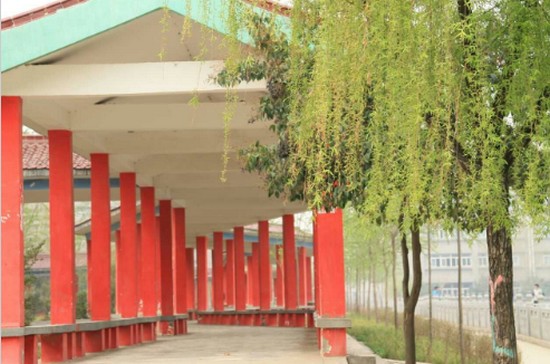 陕西科技卫生学校有哪些专业及什么专业好_招生信息