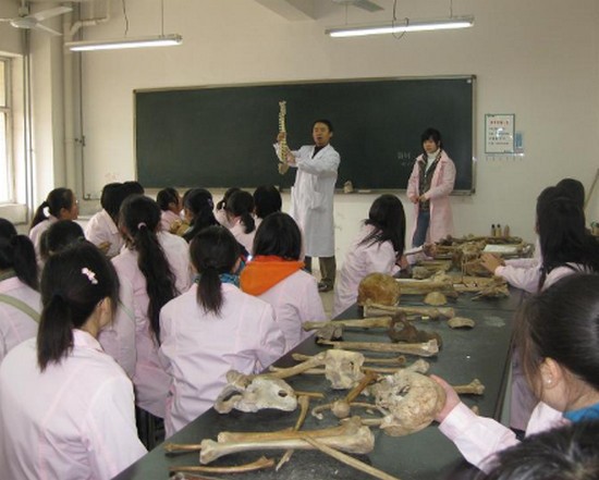 咸阳职业技术学院医学院学费是多少钱及收费标准_招生信息