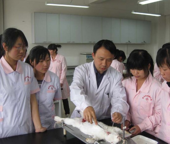 咸阳职业技术学院医学院简介办电话及联系方式_招生信息