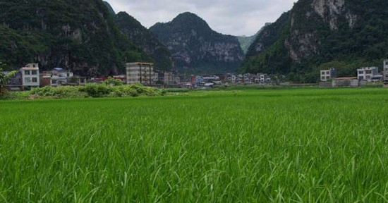 河池市卫生学校有哪些专业及什么专业好_招生信息