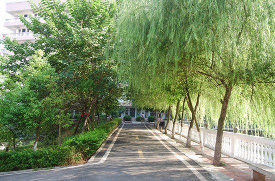 湖南交通工程学院简介及简介计划要求_招生信息
