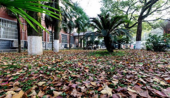 湖南师范大学医学院寝室宿舍条件与学校食堂环境图片_招生信息