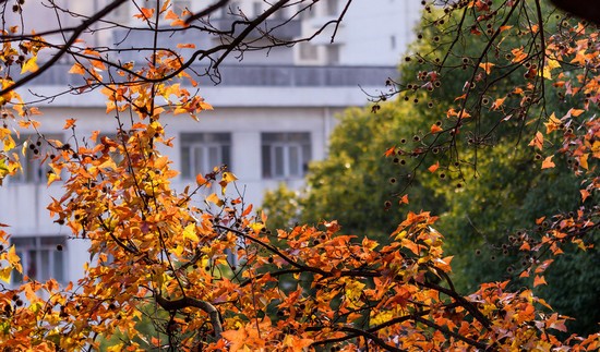 湖南师范大学医学院简介录取分数线_招生信息