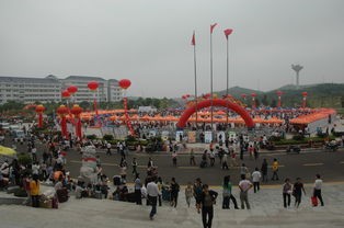 岳阳职业技术学院简介及简介计划要求_招生信息