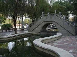 长沙民政职业技术学院有哪些专业及什么专业好_招生信息