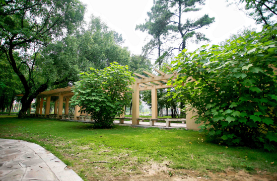 武汉科技大学医学院地址在哪里_招生信息