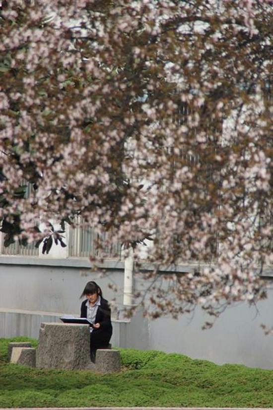 河南理工大学医学院简介录取分数线_招生信息