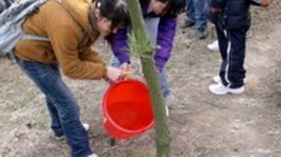 武汉铁路职业技术学院护理学院怎么样？好不好就业呢？_招生信息