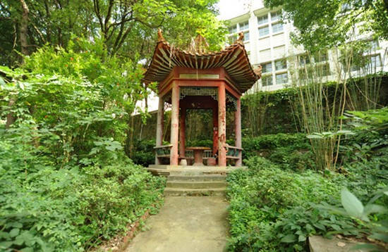 武汉民政职业学院简介录取分数线_招生信息
