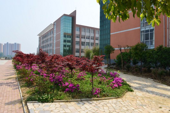 南阳医学高等专科学校有哪些专业及什么专业好_招生信息
