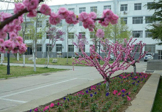 山东省莱阳卫生学校寝室宿舍条件与学校食堂环境图片_招生信息