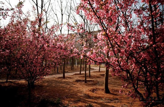 山东中医药大学简介录取分数线_招生信息