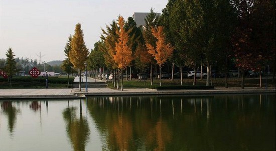 山东中医药大学有哪些专业及什么专业好_招生信息