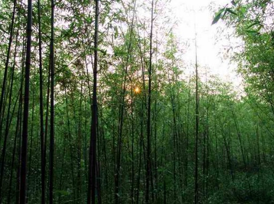 济宁医学院简介及简介计划要求_招生信息