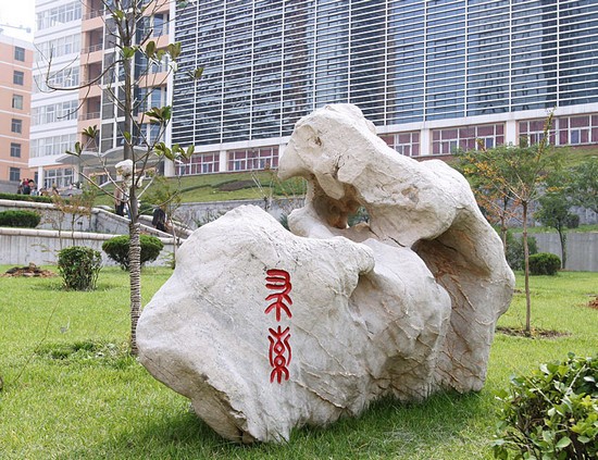 齐鲁医药学院有哪些专业及什么专业好_招生信息