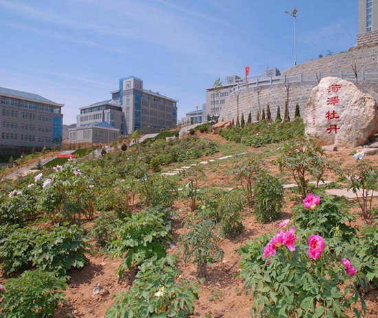潍坊护理职业学院简介及简介计划要求_招生信息