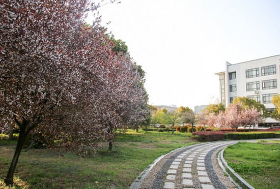 安徽中医药高等专科学校有哪些专业及什么专业好_招生信息