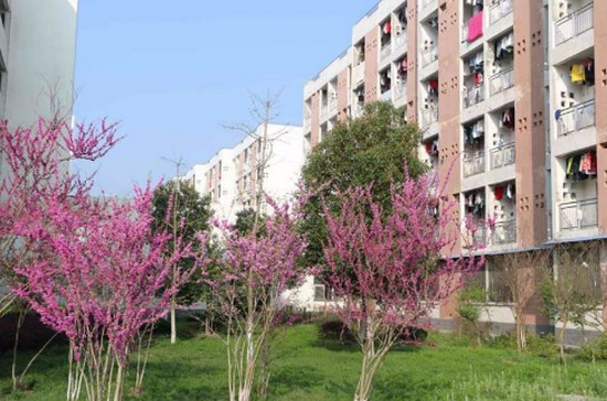 皖西卫生职业学院简介录取分数线_招生信息