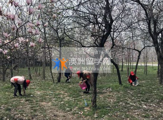 安徽省淮南卫生学校简介老师QQ及电话_招生信息