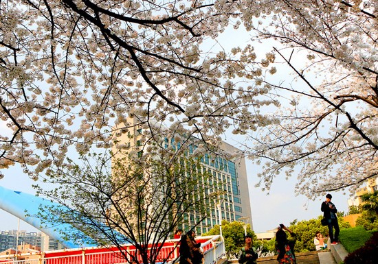 浙江工业大学药学院简介录取分数线_招生信息