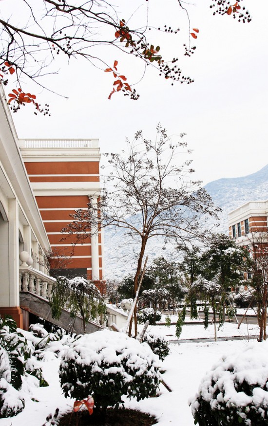 温州医科大学简介及简介计划要求_招生信息