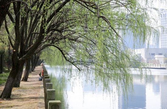 浙江医药高等专科学校寝室宿舍条件与学校食堂环境图片_招生信息