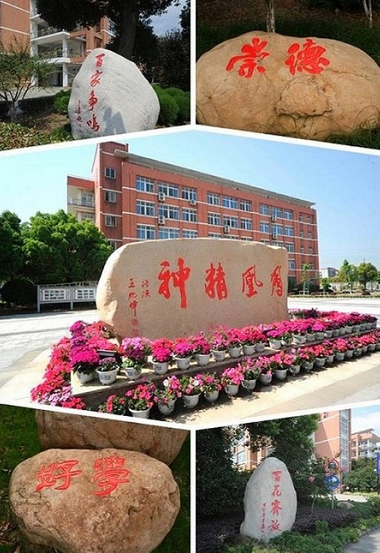 桐乡市卫生学校寝室宿舍条件与学校食堂环境图片_招生信息
