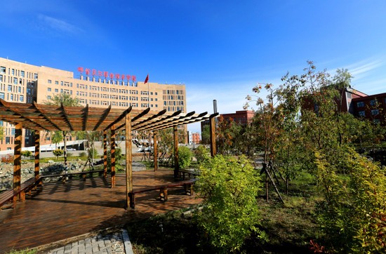 呼伦贝尔职业技术学院医学系有哪些专业及什么专业好_招生信息
