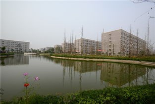 太原市卫生学校有哪些专业及什么专业好_招生信息