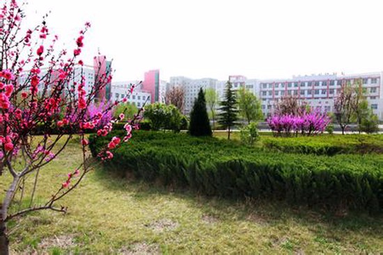 运城护理职业学院寝室宿舍条件与学校食堂环境图片_招生信息