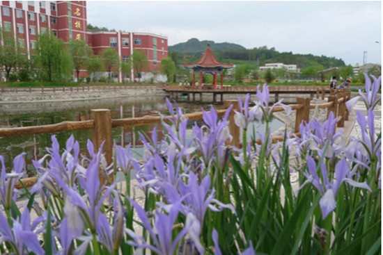 吉林通化市卫生学校有哪些专业及什么专业好_招生信息