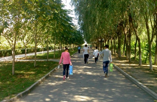 长春医学高等专科学校寝室宿舍条件与学校食堂环境图片_招生信息