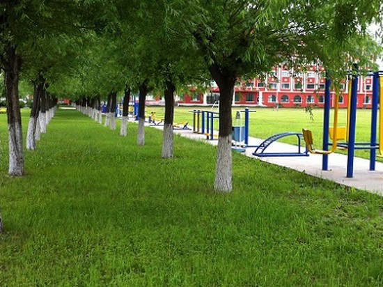 黑河市职业技术教育中心学校简介录取分数线_招生信息