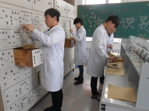黑龙江医药卫生职业学校学费是多少钱及收费标准_招生信息