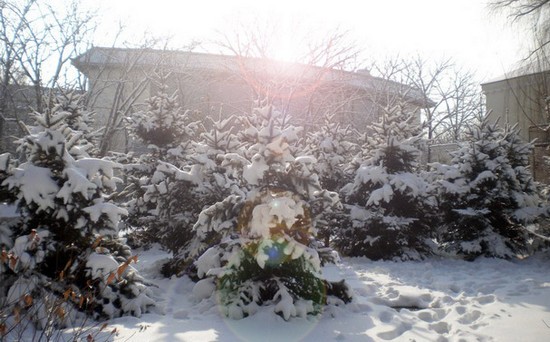 哈尔滨医科大学寝室宿舍条件与学校食堂环境图片_招生信息