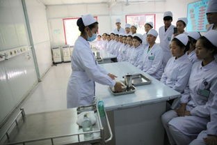 黑龙江医药卫生职业学校怎么样？好不好就业呢？_招生信息