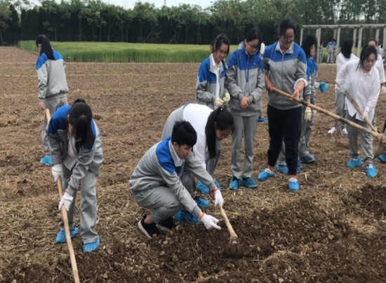 上海市医药学校学费是多少钱及收费标准_招生信息