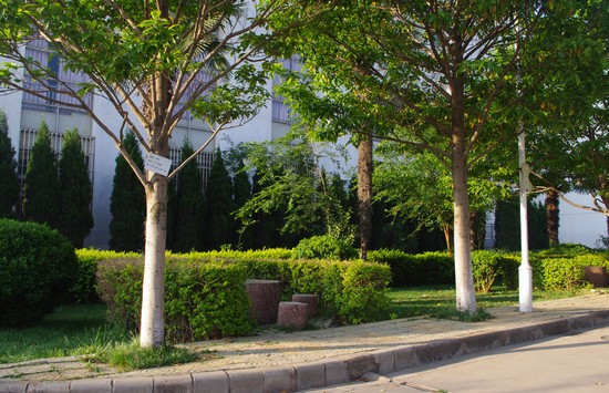 昆明医科大学海源学院简介及简介计划要求_招生信息