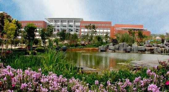 云南经济管理学院康复护理学院简介录取分数线_招生信息