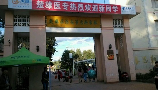 楚雄医药高等专科学校简介录取分数线_招生信息