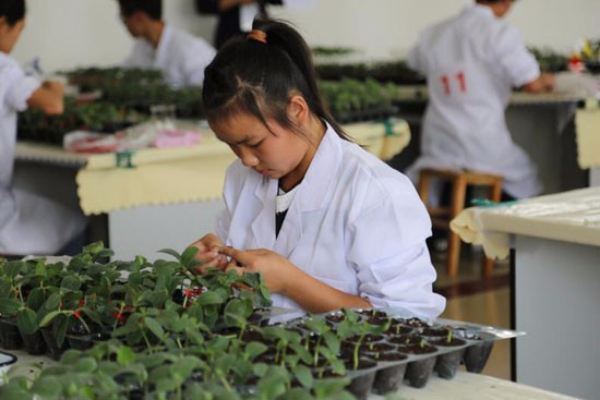 保山中医药高等专科学校简介老师QQ及电话_招生信息