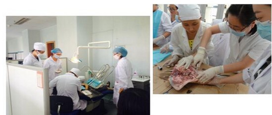昆明卫生职业学院怎么样？好不好就业呢？_招生信息
