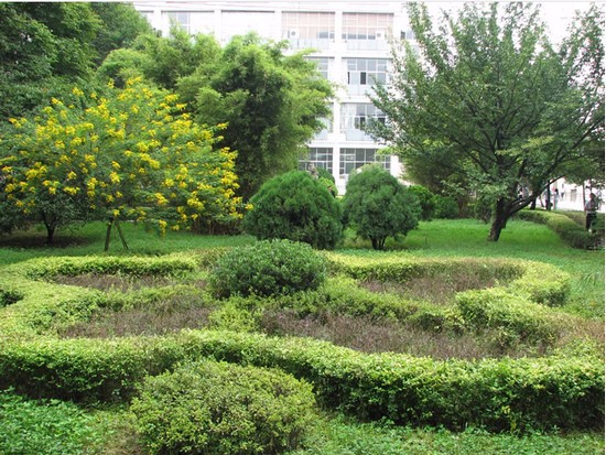 贵州中医学院时珍学院有哪些专业及什么专业好_招生信息