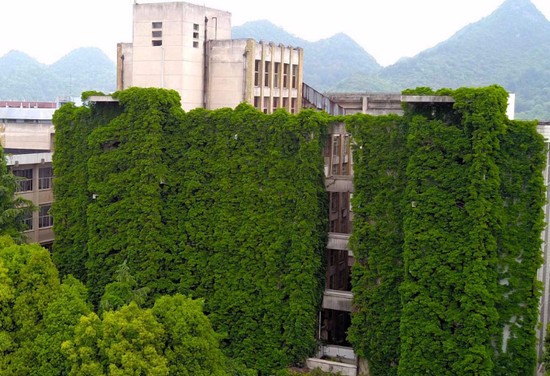 重庆卫生学校简介及简介计划要求_招生信息