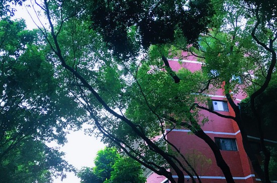 重庆市医科学校简介及简介计划要求_招生信息