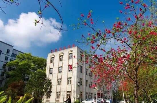 重庆大学医学院简介录取分数线_招生信息