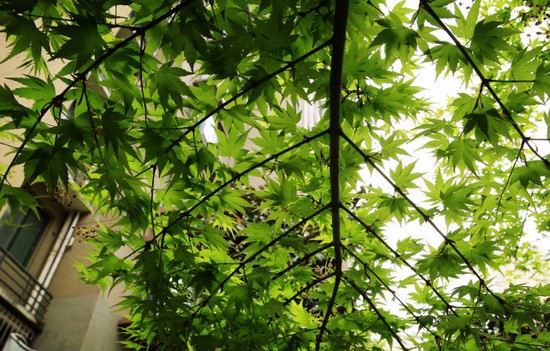 重庆市医科学校有哪些专业及什么专业好_招生信息