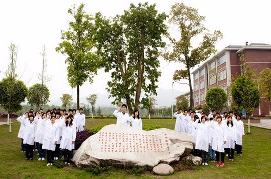 重庆医科大学有哪些专业及什么专业好_招生信息